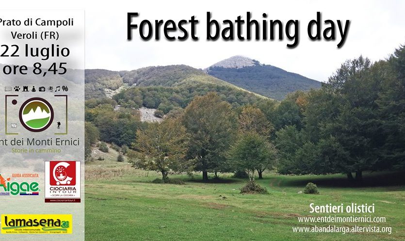 FOREST BATHING DAY – Prato di Campoli (Fr)